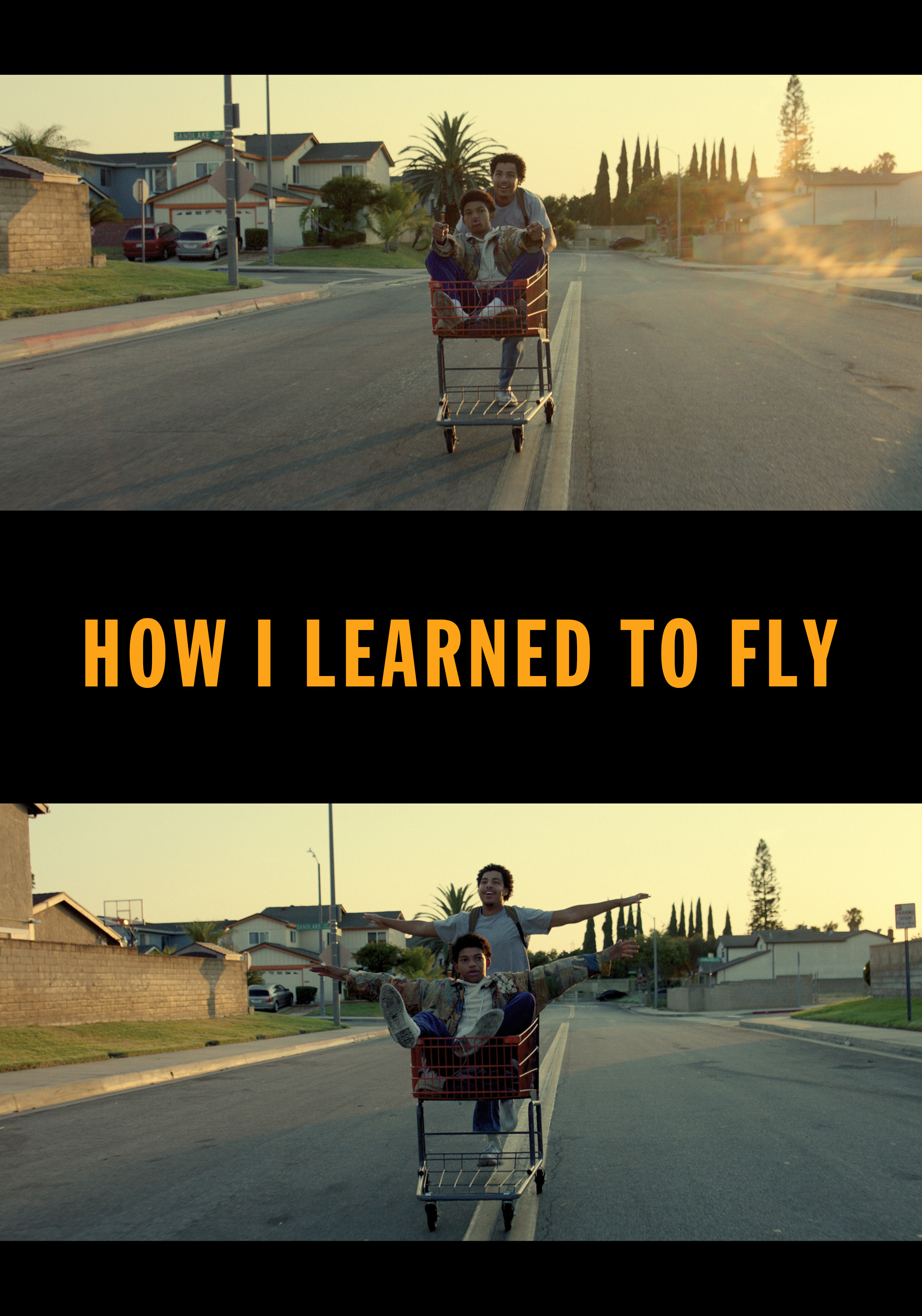 Theatrical: How I Learned to Fly :: Film Movement